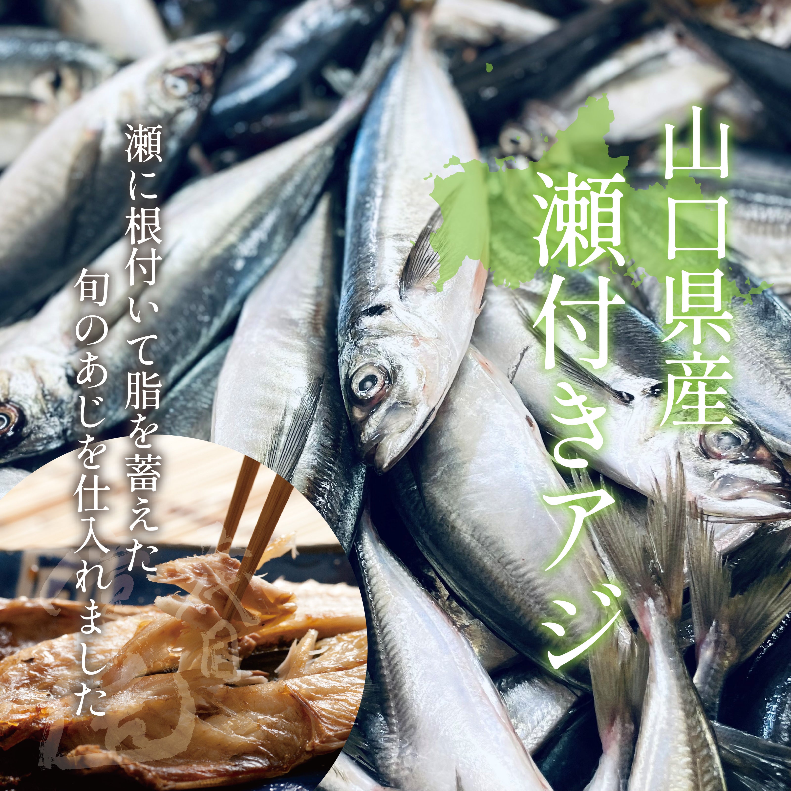 瀬付きアジ開き – こだわりの干物屋 五代目常造