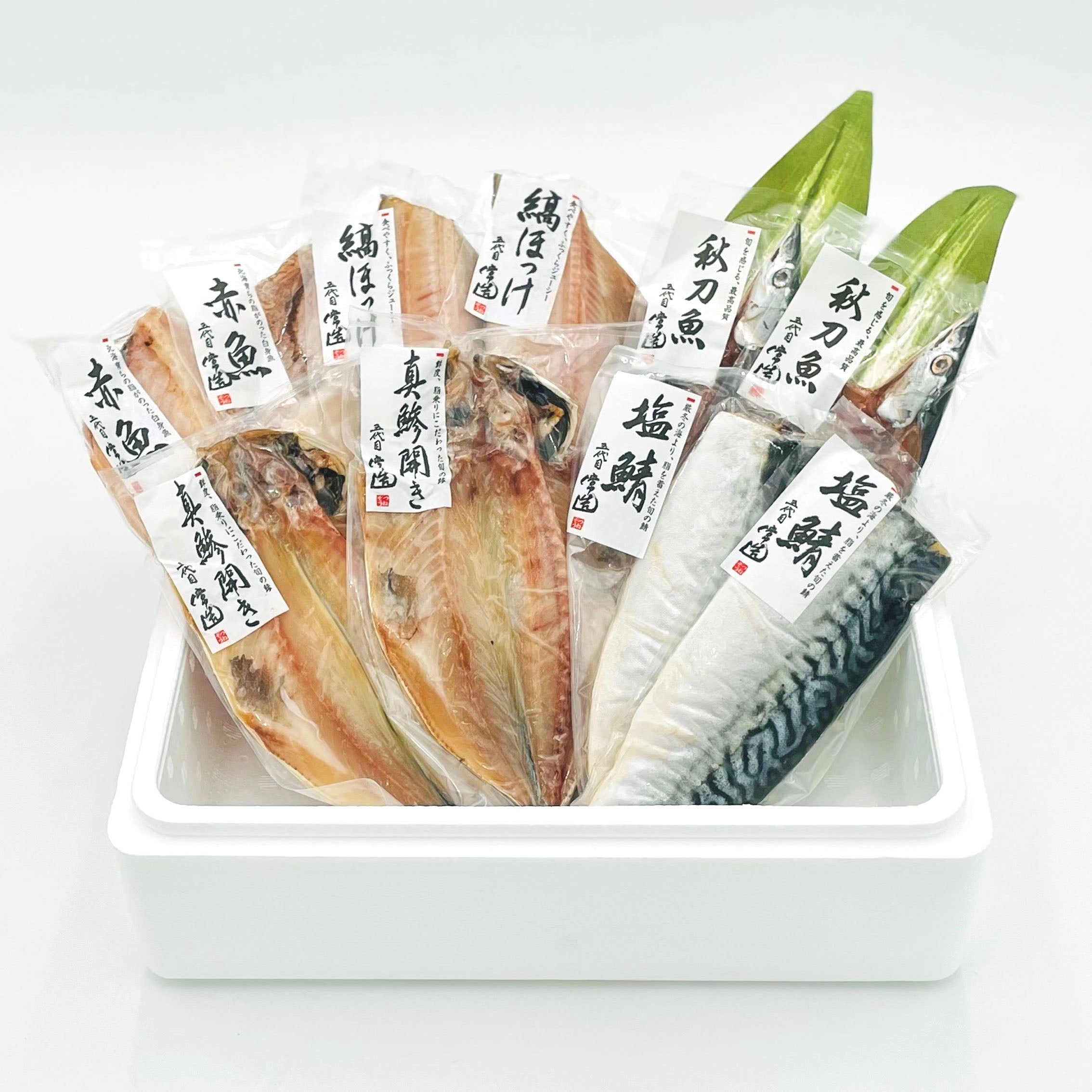 5種10パック