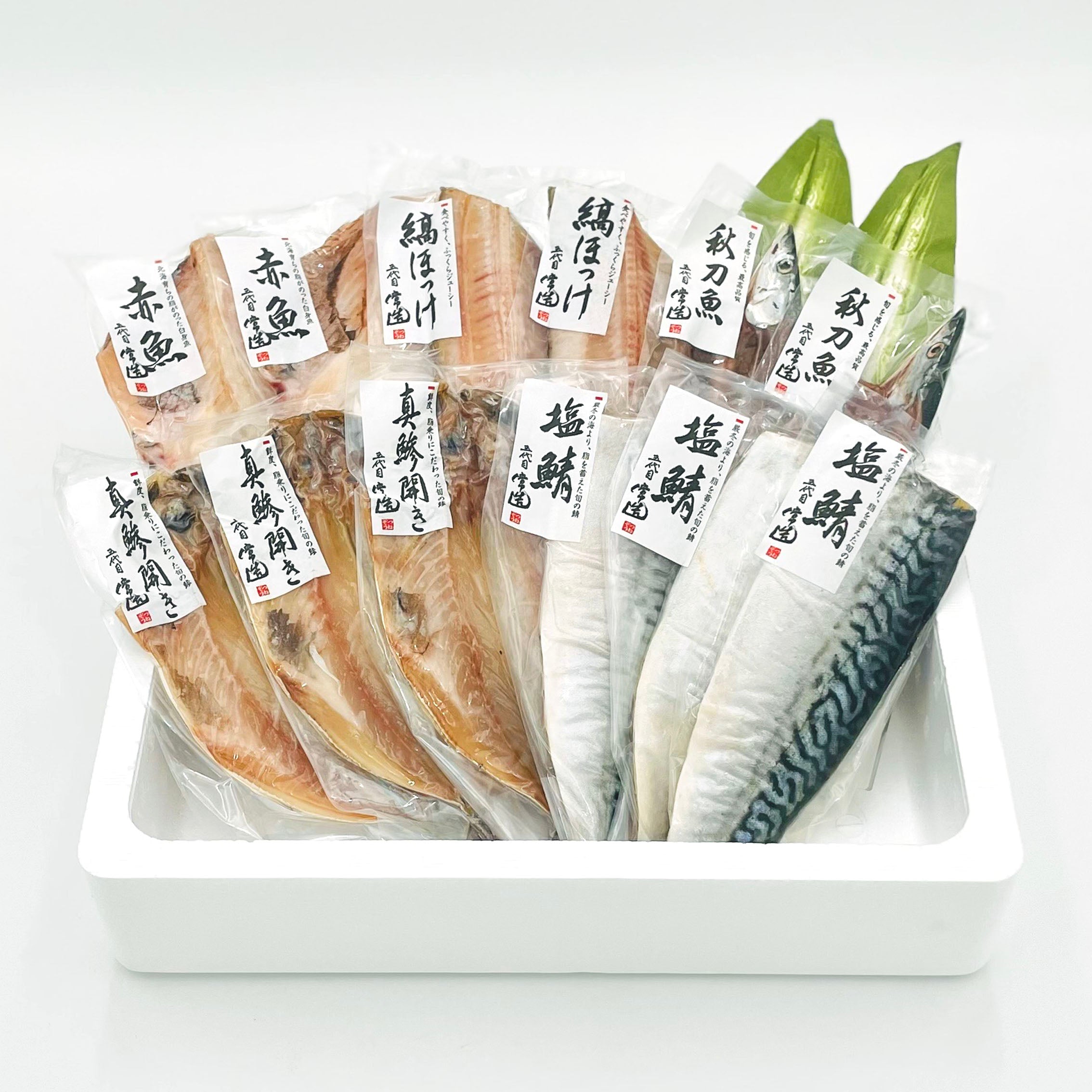 5種12パック